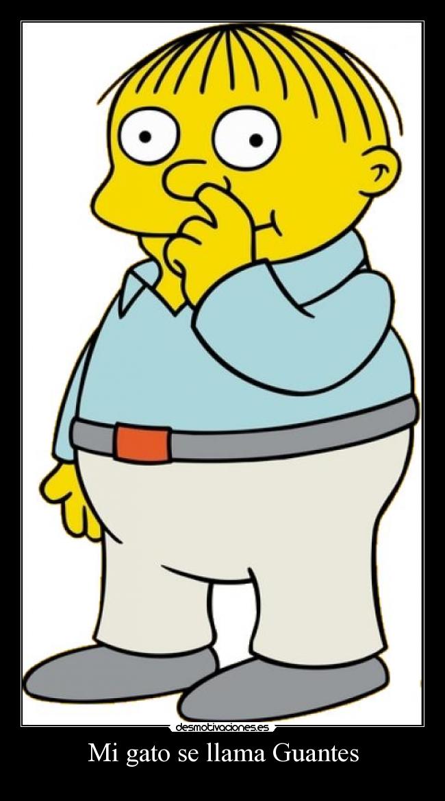 Mi gato se llama Guantes - 