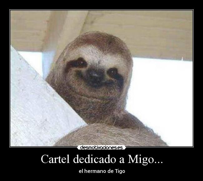 Cartel dedicado a Migo... -