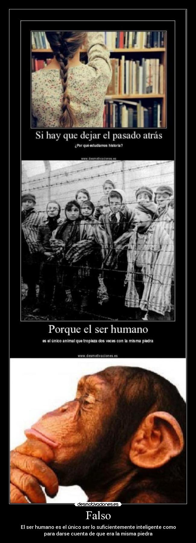Falso - El ser humano es el único ser lo suficientemente inteligente como
para darse cuenta de que era la misma piedra