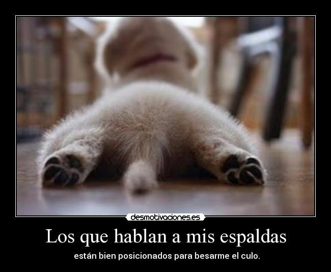 Los que hablan a mis espaldas -  están bien posicionados para besarme el culo.