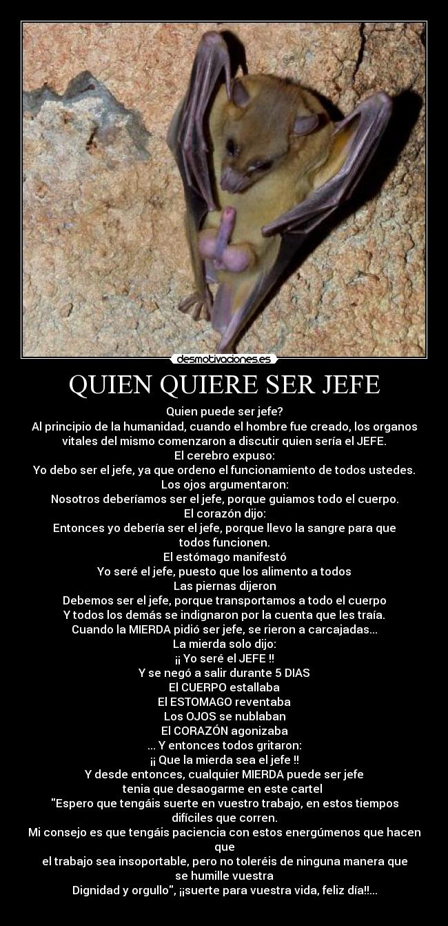QUIEN QUIERE SER JEFE -