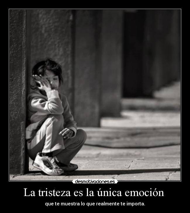 La tristeza es la única emoción -