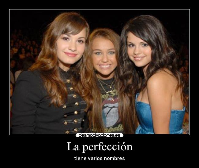 La perfección -