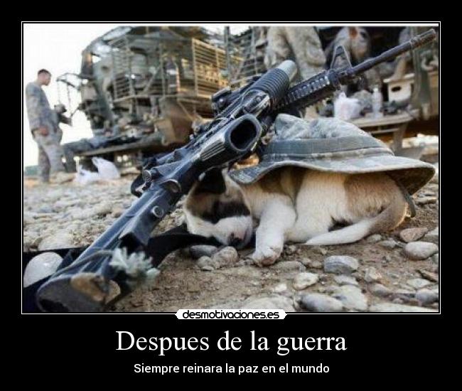 Despues de la guerra -