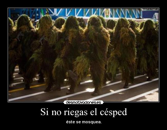 Si no riegas el césped - 