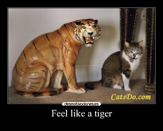 Feel like a tiger -