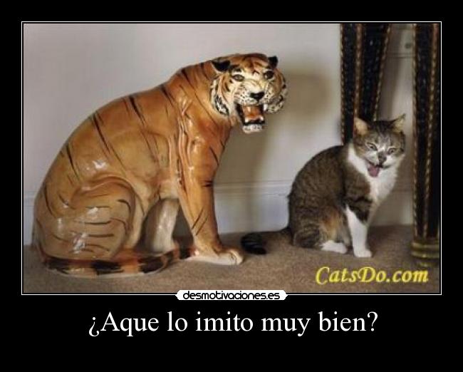 ¿Aque lo imito muy bien? - 