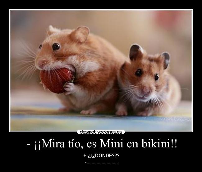 carteles mini desmotivaciones