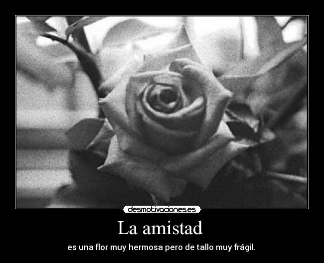 La amistad -