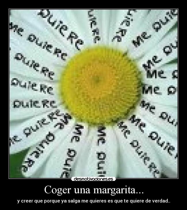 Coger una margarita... - y creer que porque ya salga me quieres es que te quiere de verdad..