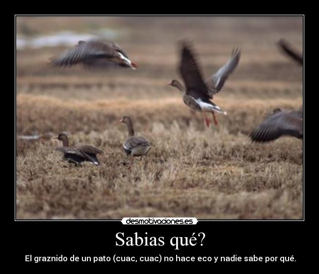 carteles todos desmotivaciones