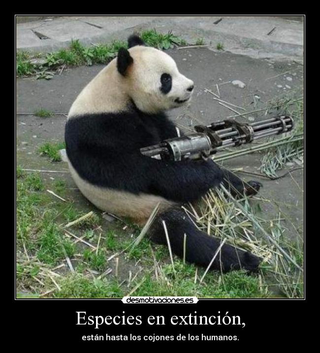 Especies en extinción, - están hasta los cojones de los humanos.