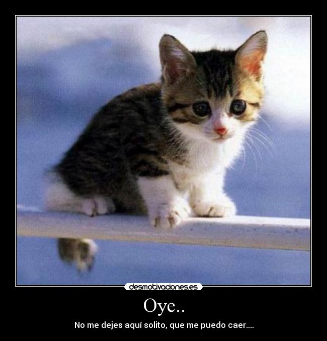 Oye.. -