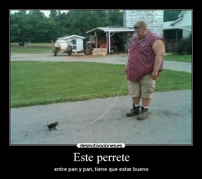 Este perrete - 