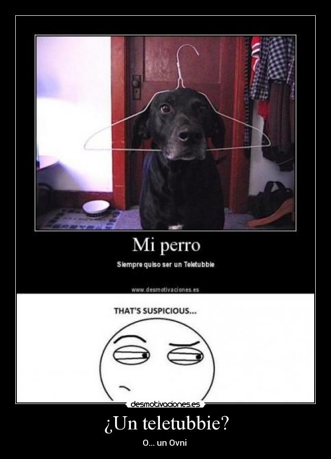 ¿Un teletubbie? - 