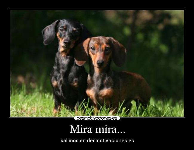 Mira mira... - 