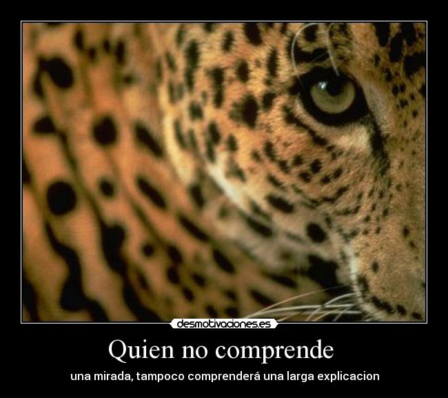 Quien no comprende  - 