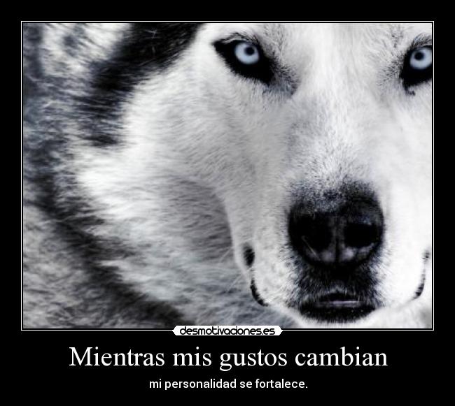 Mientras mis gustos cambian - 