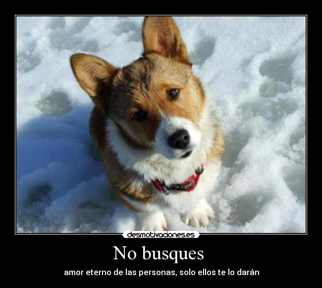 No busques - amor eterno de las personas, solo ellos te lo darán