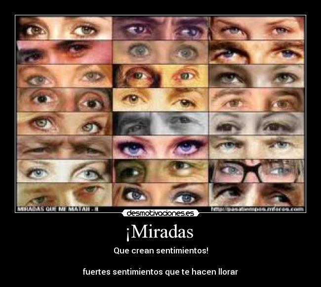 ¡Miradas  - 