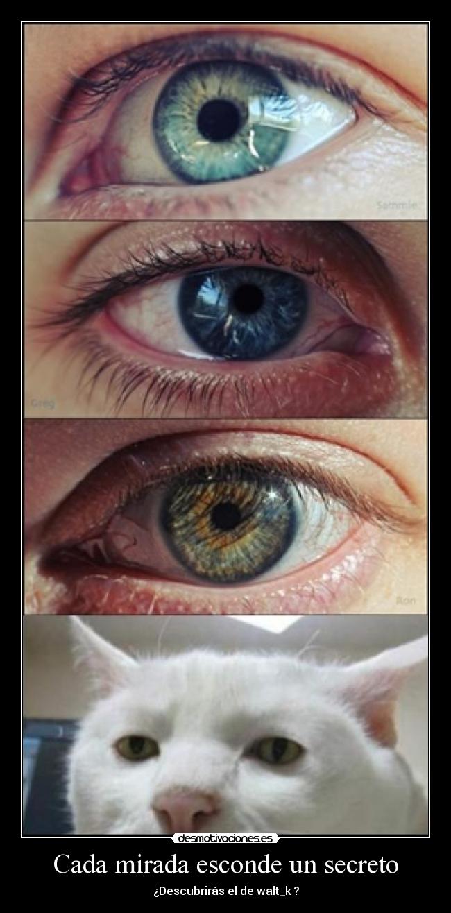 Cada mirada esconde un secreto -