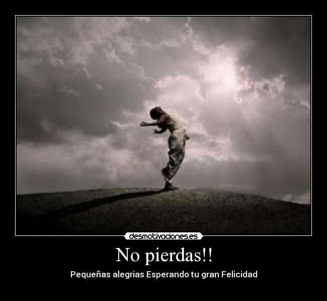 No pierdas!! - 
