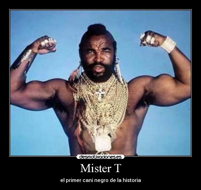 Mister T - 