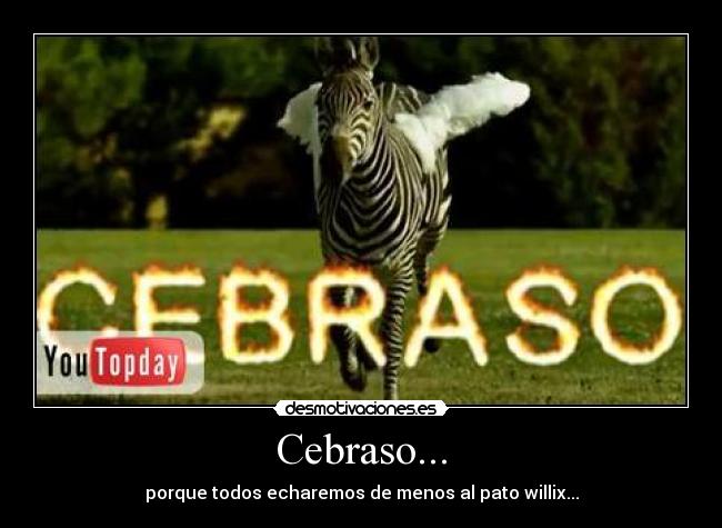 Cebraso... - 