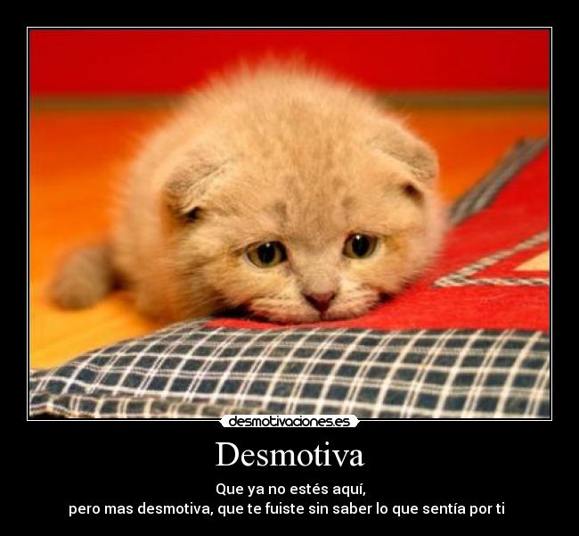 Desmotiva - 