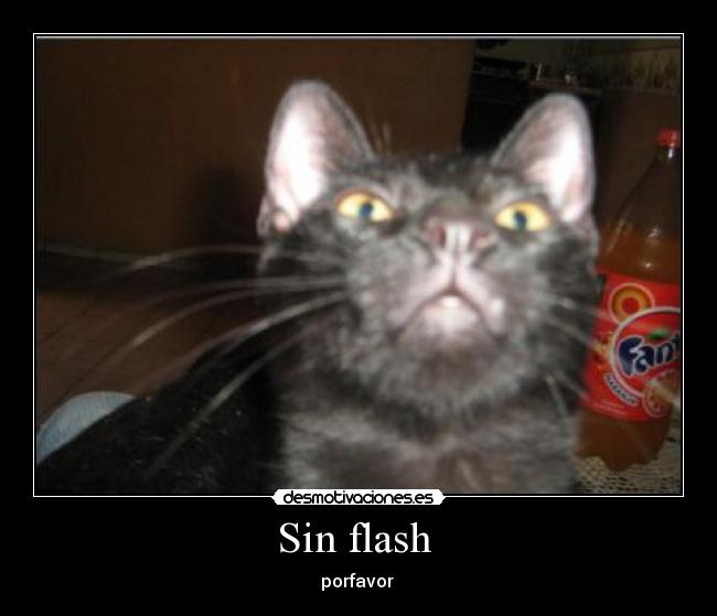 Sin flash - porfavor