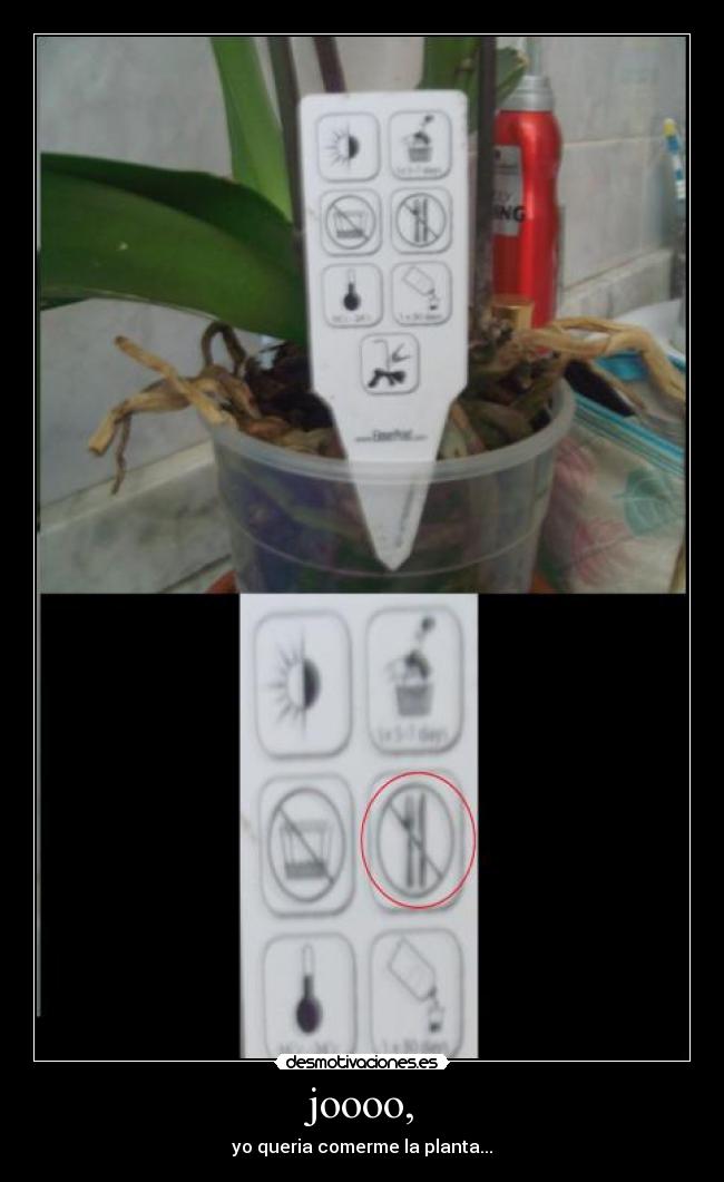 carteles comer plantas bano retete desmotivaciones