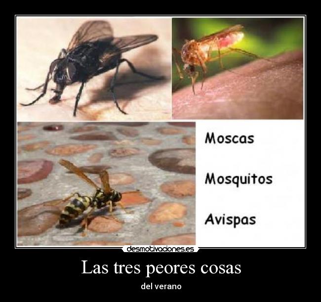 Las tres peores cosas -