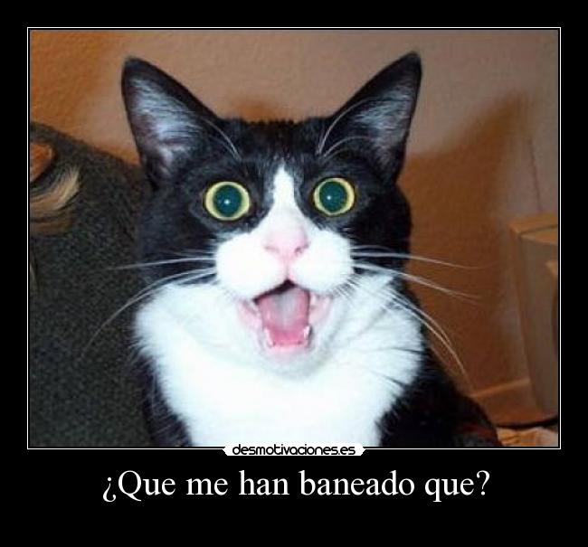 ¿Que me han baneado que? - 