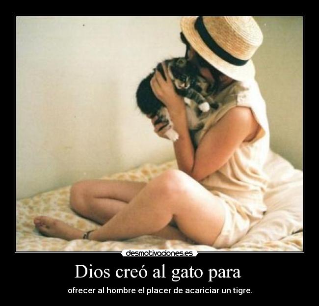 Dios creó al gato para  - 
