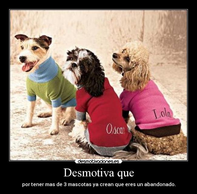 Desmotiva que - por tener mas de 3 mascotas ya crean que eres un abandonado.