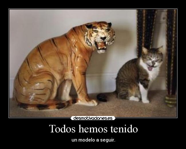 carteles gatosmodelo seguir tigre copiar frase gay elenasix desmotivaciones