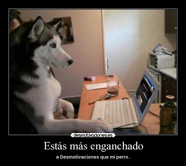 carteles estas mas enganchado desmotivaciones perro desmotivaciones