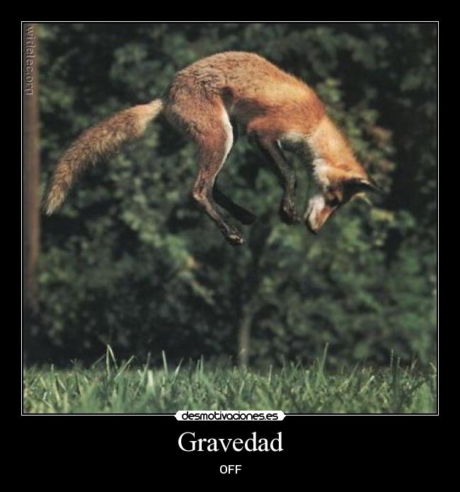Gravedad -
