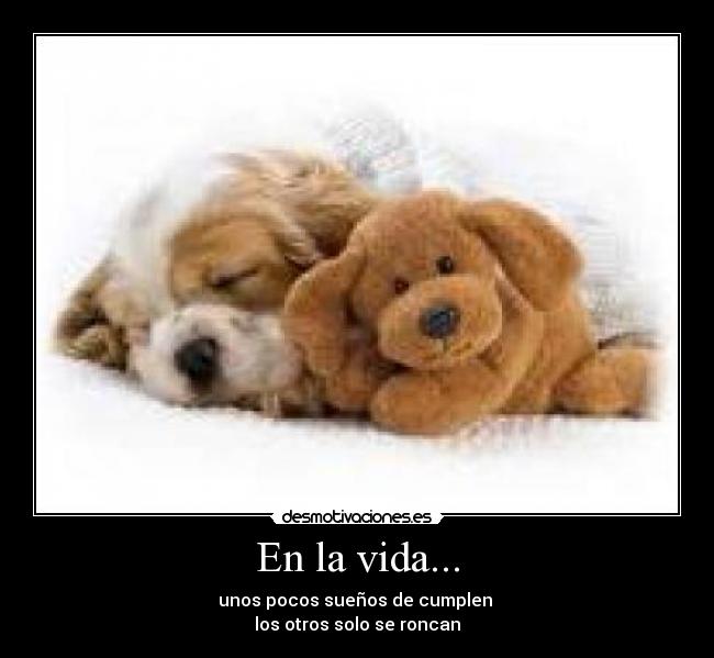 En la vida... - unos pocos sueños de cumplen 
los otros solo se roncan