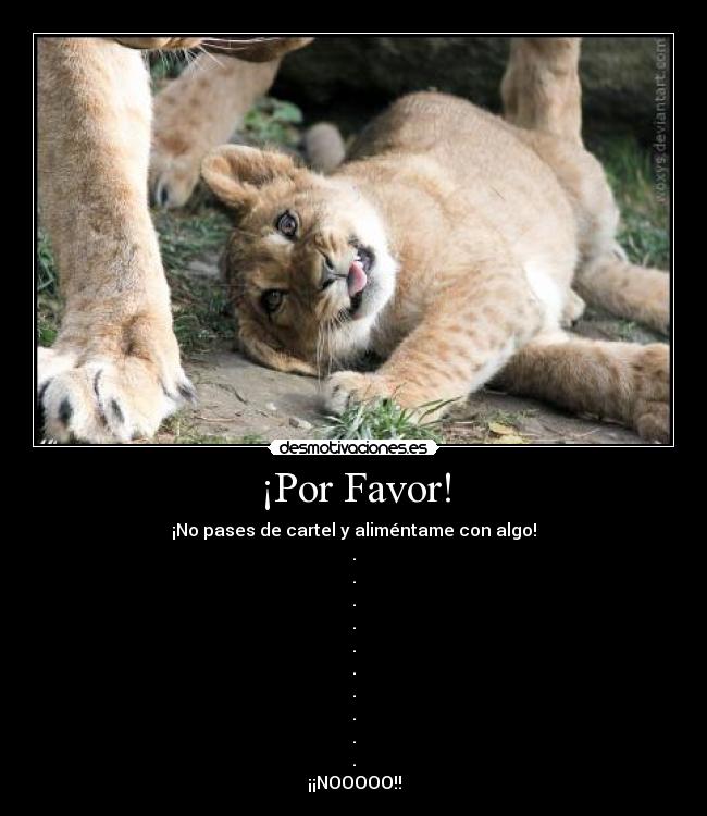 carteles motiva frases principal cola problem felicidad gato desmotivaciones