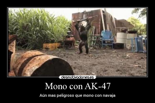 Mono con AK-47 - 