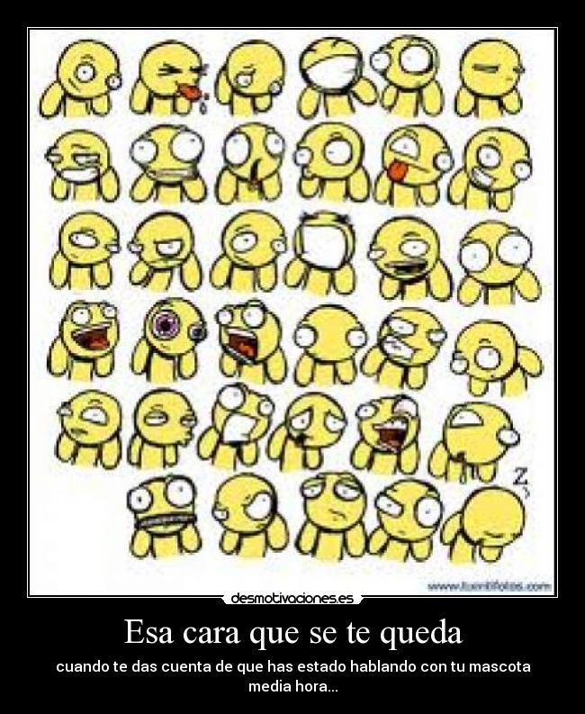 Esa cara que se te queda - cuando te das cuenta de que has estado hablando con tu mascota
media hora...