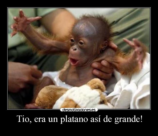 Tio, era un platano así de grande! -