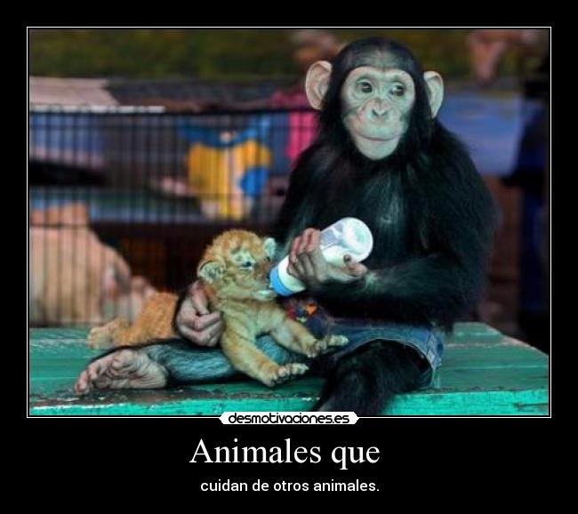 Animales que -