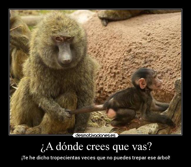 ¿A dónde crees que vas? - ¡Te he dicho tropecientas veces que no puedes trepar ese árbol!