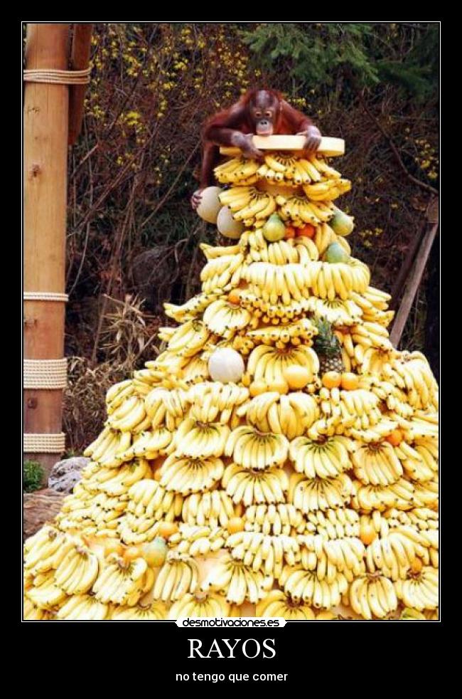 RAYOS - no tengo que comer