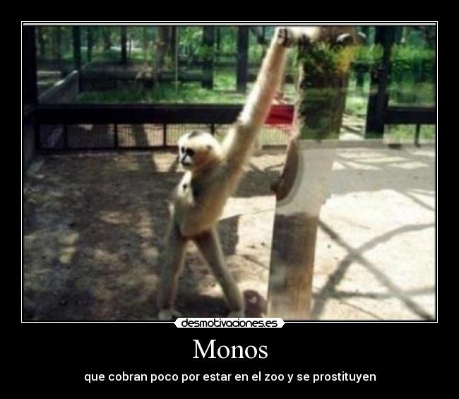 Monos - 
