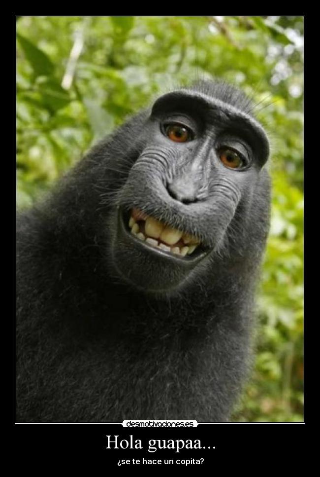 Hola guapaa... - 