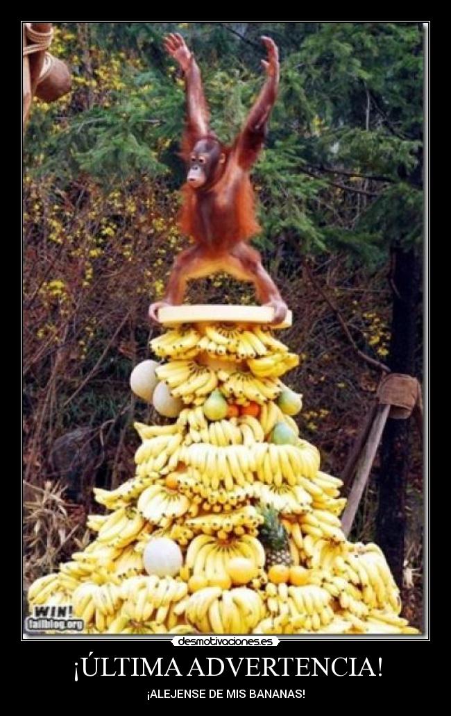 ¡ÚLTIMA ADVERTENCIA! - 