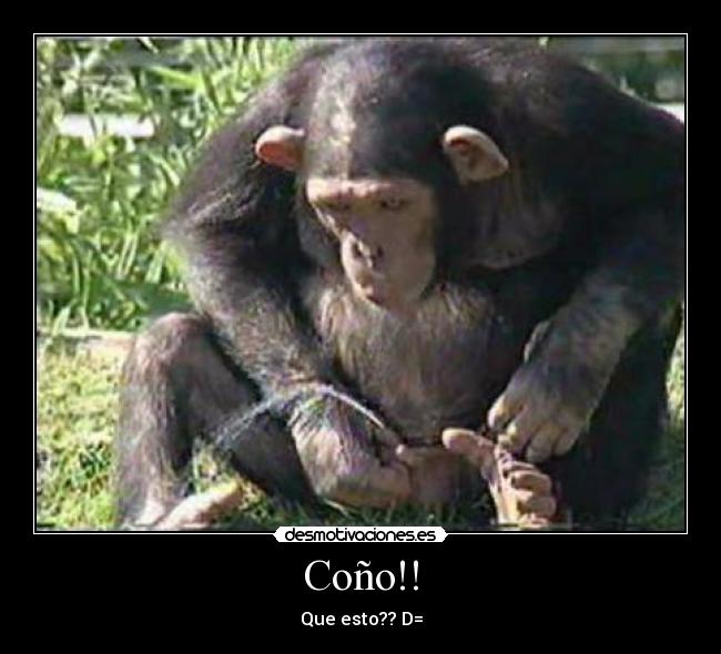 Coño!! - Que esto?? D=